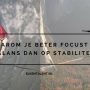 Waarom je beter focust op balans dan op stabiliteit.