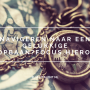 Navigeren naar een gelukkige loopbaan? Focus hierop…